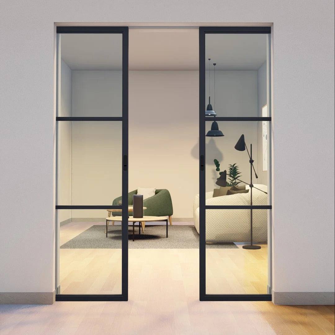 Steel Pocket Doors